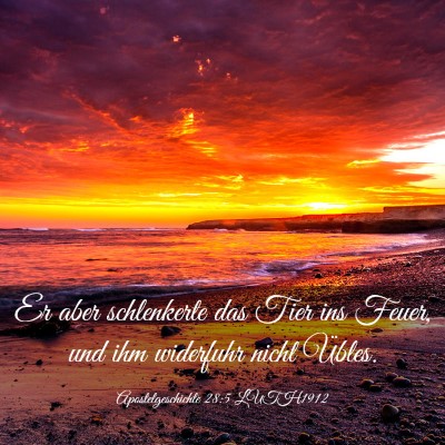 Picture 03 - Apostelgeschichte 28:5 LUTH1912 - Er aber schlenkerte das Tier ins Feuer, und ihm - Bible Verse Picture