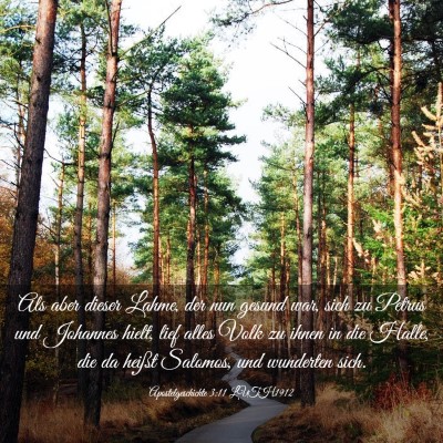 Picture 03 - Apostelgeschichte 3:11 LUTH1912 - Als aber dieser Lahme, der nun gesund war, sich - Bible Verse Picture