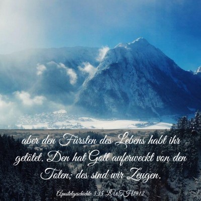 Picture 03 - Apostelgeschichte 3:15 LUTH1912 - aber den Fürsten des Lebens habt ihr getötet. - Bible Verse Picture