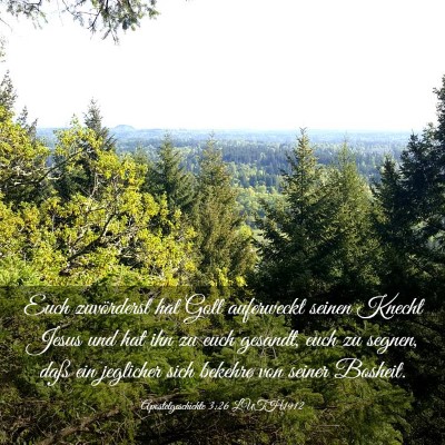 Picture 03 - Apostelgeschichte 3:26 LUTH1912 - Euch zuvörderst hat Gott auferweckt seinen - Bible Verse Picture