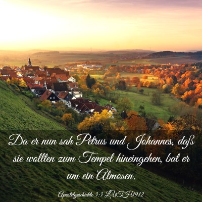 Picture 03 - Apostelgeschichte 3:3 LUTH1912 - Da er nun sah Petrus und Johannes, daß sie - Bible Verse Picture