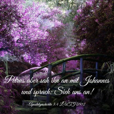 Picture 03 - Apostelgeschichte 3:4 LUTH1912 - Petrus aber sah ihn an mit Johannes und sprach: - Bible Verse Picture
