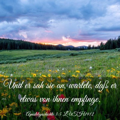 Picture 03 - Apostelgeschichte 3:5 LUTH1912 - Und er sah sie an, wartete, daß er etwas von - Bible Verse Picture