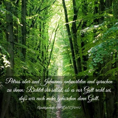 Picture 03 - Apostelgeschichte 4:19 LUTH1912 - Petrus aber und Johannes antworteten und sprachen - Bible Verse Picture