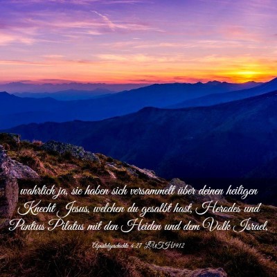 Picture 03 - Apostelgeschichte 4:27 LUTH1912 - wahrlich ja, sie haben sich versammelt über - Bible Verse Picture
