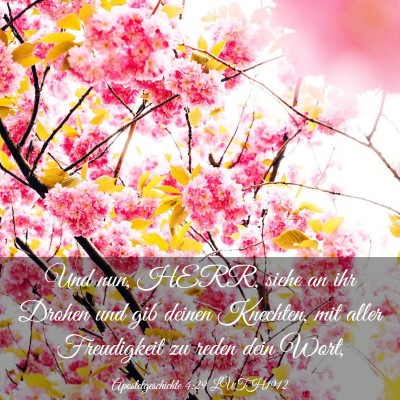 Picture 03 - Apostelgeschichte 4:29 LUTH1912 - Und nun, HERR, siehe an ihr Drohen und gib deinen - Bible Verse Picture