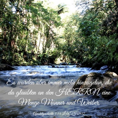 Picture 03 - Apostelgeschichte 5:14 LUTH1912 - Es wurden aber immer mehr hinzugetan, die da - Bible Verse Picture