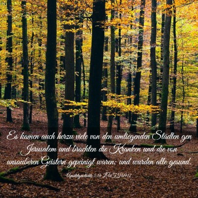 Picture 03 - Apostelgeschichte 5:16 LUTH1912 - Es kamen auch herzu viele von den umliegenden - Bible Verse Picture