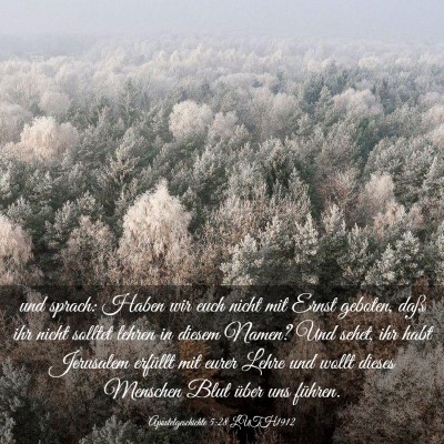 Picture 03 - Apostelgeschichte 5:28 LUTH1912 - und sprach: Haben wir euch nicht mit Ernst - Bible Verse Picture