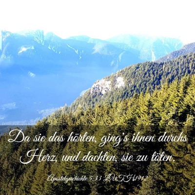 Picture 03 - Apostelgeschichte 5:33 LUTH1912 - Da sie das hörten, ging's ihnen durchs Herz, und - Bible Verse Picture