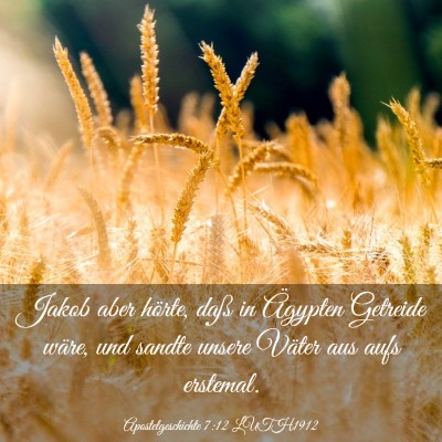 Picture 03 - Apostelgeschichte 7:12 LUTH1912 - Jakob aber hörte, daß in Ägypten Getreide - Bible Verse Picture