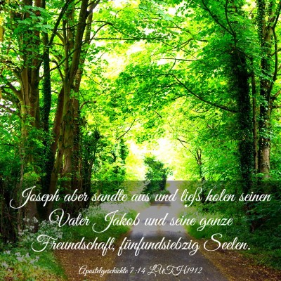 Picture 03 - Apostelgeschichte 7:14 LUTH1912 - Joseph aber sandte aus und ließ holen seinen - Bible Verse Picture