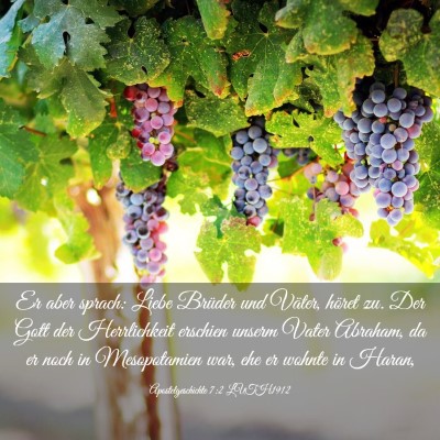 Picture 03 - Apostelgeschichte 7:2 LUTH1912 - Er aber sprach: Liebe Brüder und Väter, höret - Bible Verse Picture