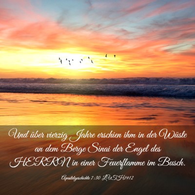 Picture 03 - Apostelgeschichte 7:30 LUTH1912 - Und über vierzig Jahre erschien ihm in der - Bible Verse Picture