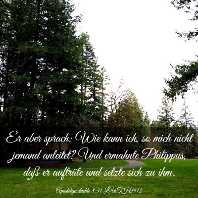 Picture 03 - Apostelgeschichte 8:31 LUTH1912 - Er aber sprach: Wie kann ich, so mich nicht - Bible Verse Picture