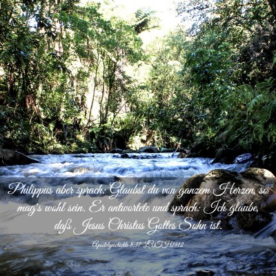 Picture 03 - Apostelgeschichte 8:37 LUTH1912 - Philippus aber sprach: Glaubst du von ganzem - Bible Verse Picture