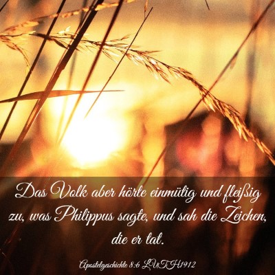 Picture 03 - Apostelgeschichte 8:6 LUTH1912 - Das Volk aber hörte einmütig und fleißig zu, - Bible Verse Picture