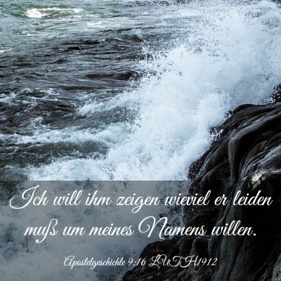 Picture 03 - Apostelgeschichte 9:16 LUTH1912 - Ich will ihm zeigen wieviel er leiden muß um - Bible Verse Picture
