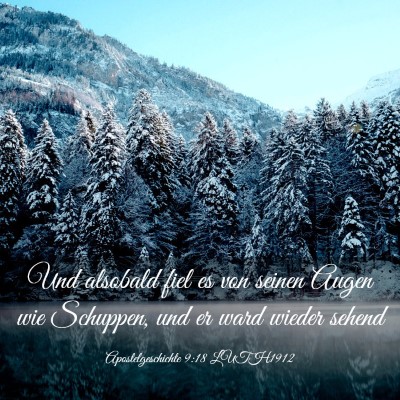 Picture 03 - Apostelgeschichte 9:18 LUTH1912 - Und alsobald fiel es von seinen Augen wie - Bible Verse Picture