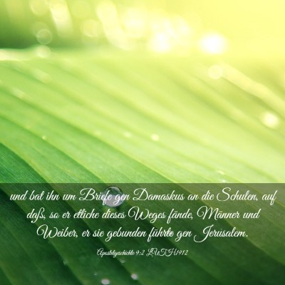 Picture 03 - Apostelgeschichte 9:2 LUTH1912 - und bat ihn um Briefe gen Damaskus an die - Bible Verse Picture