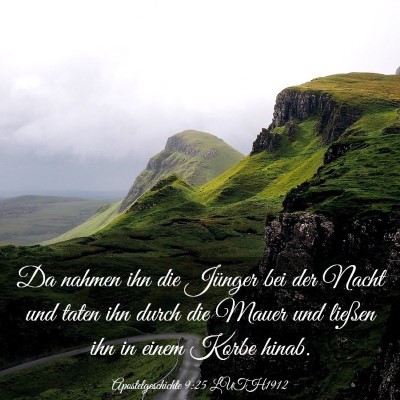 Picture 03 - Apostelgeschichte 9:25 LUTH1912 - Da nahmen ihn die Jünger bei der Nacht und taten - Bible Verse Picture