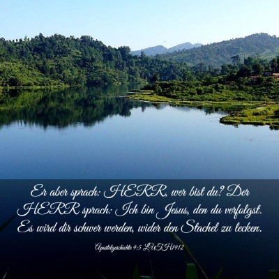 Picture 03 - Apostelgeschichte 9:5 LUTH1912 - Er aber sprach: HERR, wer bist du? Der HERR - Bible Verse Picture