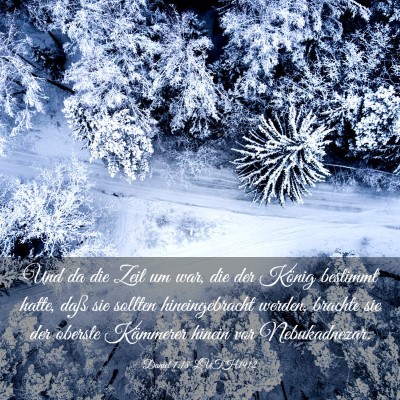 Picture 03 - Daniel 1:18 LUTH1912 - Und da die Zeit um war, die der König bestimmt - Bible Verse Picture