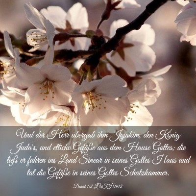 Picture 03 - Daniel 1:2 LUTH1912 - Und der Herr übergab ihm Jojakim, den König - Bible Verse Picture