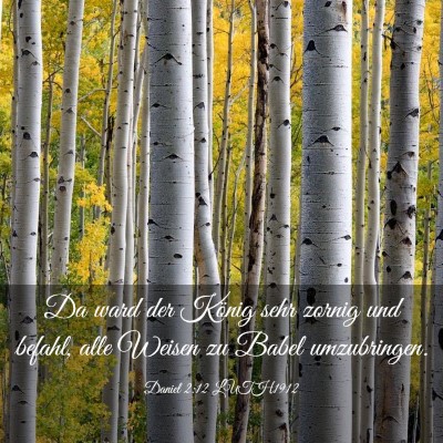 Picture 03 - Daniel 2:12 LUTH1912 - Da ward der König sehr zornig und befahl, alle - Bible Verse Picture