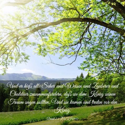 Picture 03 - Daniel 2:2 LUTH1912 - Und er hieß alle Seher und Weisen und Zauberer - Bible Verse Picture
