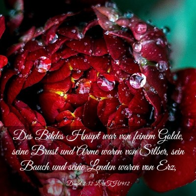 Picture 03 - Daniel 2:32 LUTH1912 - Des Bildes Haupt war von feinem Golde, seine - Bible Verse Picture