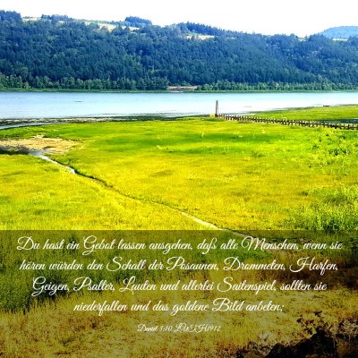 Picture 03 - Daniel 3:10 LUTH1912 - Du hast ein Gebot lassen ausgehen, daß alle - Bible Verse Picture