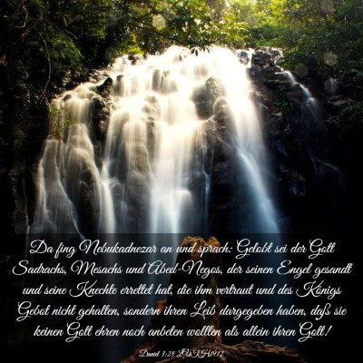 Picture 03 - Daniel 3:28 LUTH1912 - Da fing Nebukadnezar an und sprach: Gelobt sei - Bible Verse Picture