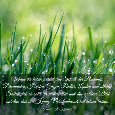Picture 03 - Daniel 3:5 LUTH1912 - Wenn ihr hören werdet den Schall der Posaunen, - Bible Verse Picture