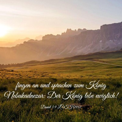 Picture 03 - Daniel 3:9 LUTH1912 - fingen an und sprachen zum König Nebukadnezar: - Bible Verse Picture