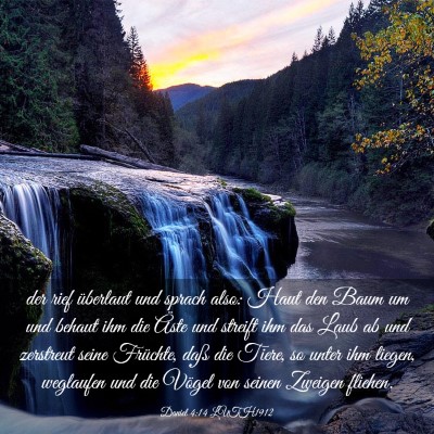 Picture 03 - Daniel 4:14 LUTH1912 - der rief überlaut und sprach also: Haut den Baum - Bible Verse Picture