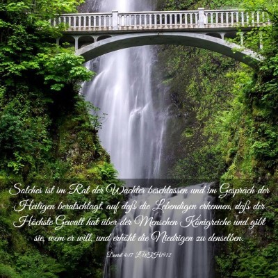 Picture 03 - Daniel 4:17 LUTH1912 - Solches ist im Rat der Wächter beschlossen und - Bible Verse Picture