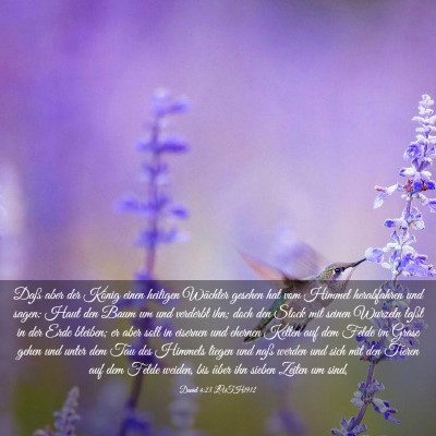 Picture 03 - Daniel 4:23 LUTH1912 - Daß aber der König einen heiligen Wächter - Bible Verse Picture