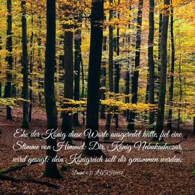 Picture 03 - Daniel 4:31 LUTH1912 - Ehe der König diese Worte ausgeredet hatte, fiel - Bible Verse Picture