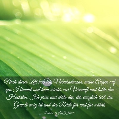 Picture 03 - Daniel 4:34 LUTH1912 - Nach dieser Zeit hob ich, Nebukadnezar, meine - Bible Verse Picture