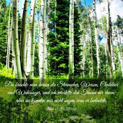 Picture 03 - Daniel 4:7 LUTH1912 - Da brachte man herein die Sternseher, Weisen, - Bible Verse Picture