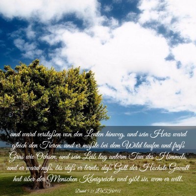 Picture 03 - Daniel 5:21 LUTH1912 - und ward verstoßen von den Leuten hinweg, und - Bible Verse Picture