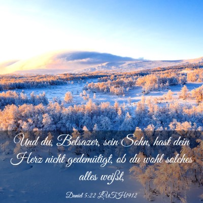 Picture 03 - Daniel 5:22 LUTH1912 - Und du, Belsazer, sein Sohn, hast dein Herz nicht - Bible Verse Picture