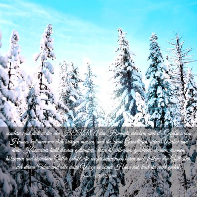 Picture 03 - Daniel 5:23 LUTH1912 - sondern hast dich wider den HERRN des Himmels - Bible Verse Picture
