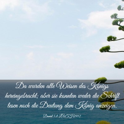 Picture 03 - Daniel 5:8 LUTH1912 - Da wurden alle Weisen des Königs hereingebracht; - Bible Verse Picture
