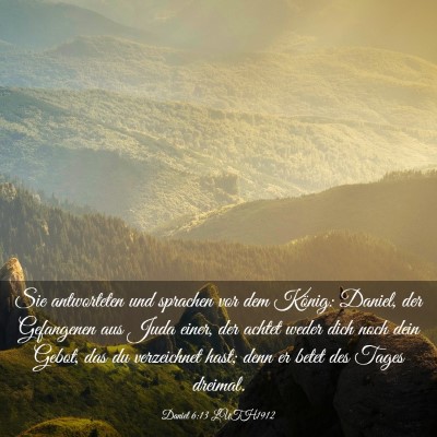 Picture 03 - Daniel 6:13 LUTH1912 - Sie antworteten und sprachen vor dem König: - Bible Verse Picture