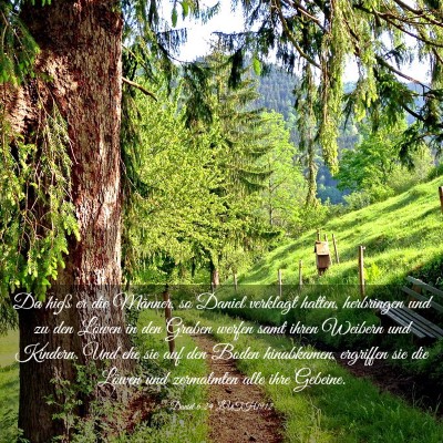 Picture 03 - Daniel 6:24 LUTH1912 - Da hieß er die Männer, so Daniel verklagt - Bible Verse Picture