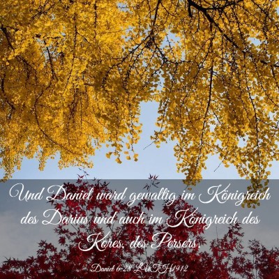 Picture 03 - Daniel 6:28 LUTH1912 - Und Daniel ward gewaltig im Königreich des - Bible Verse Picture