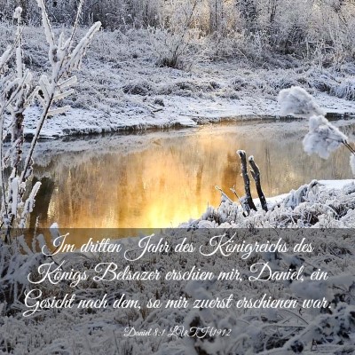 Picture 03 - Daniel 8:1 LUTH1912 - Im dritten Jahr des Königreichs des Königs - Bible Verse Picture