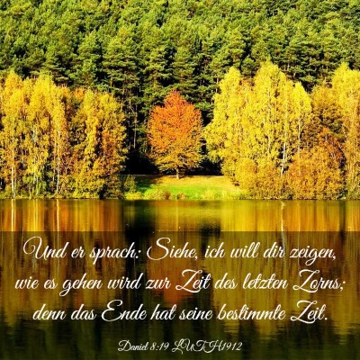 Picture 03 - Daniel 8:19 LUTH1912 - Und er sprach: Siehe, ich will dir zeigen, wie es - Bible Verse Picture